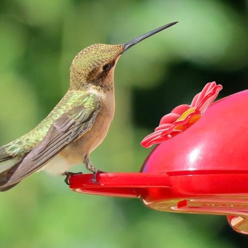 20 Pieces Red Hummingbird Feeders Replacement Flowers with Cleaning Brushes for Birds Outdoors Feeding Ports Bee Guards 