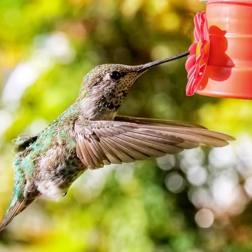 20 Pieces Red Hummingbird Feeders Replacement Flowers with Cleaning Brushes for Birds Outdoors Feeding Ports Bee Guards 